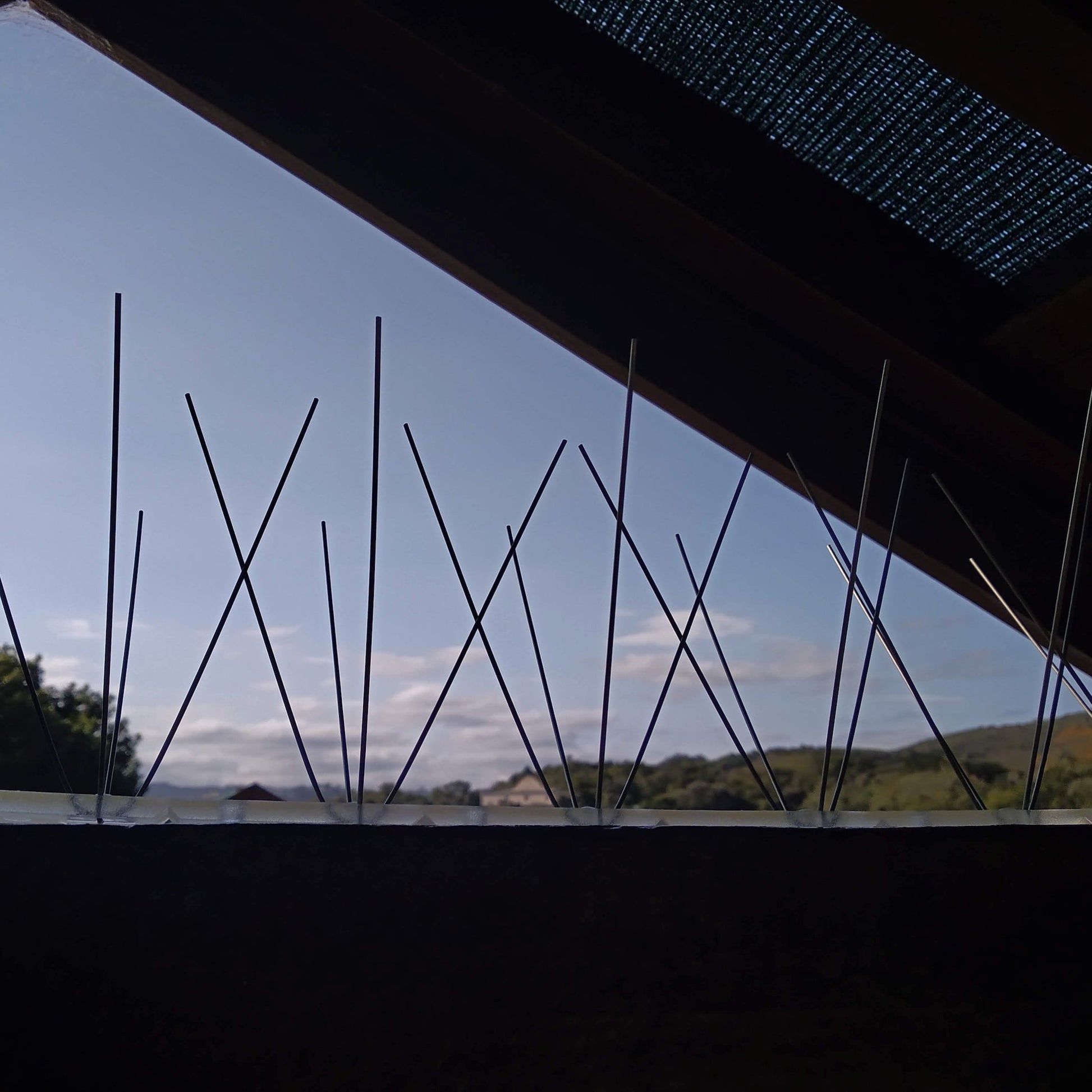 A close-up view of stainless steel bird spikes mounted on a wooden rafter, effectively deterring birds from roosting.