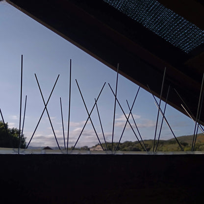 A close-up view of stainless steel bird spikes mounted on a wooden rafter, effectively deterring birds from roosting.