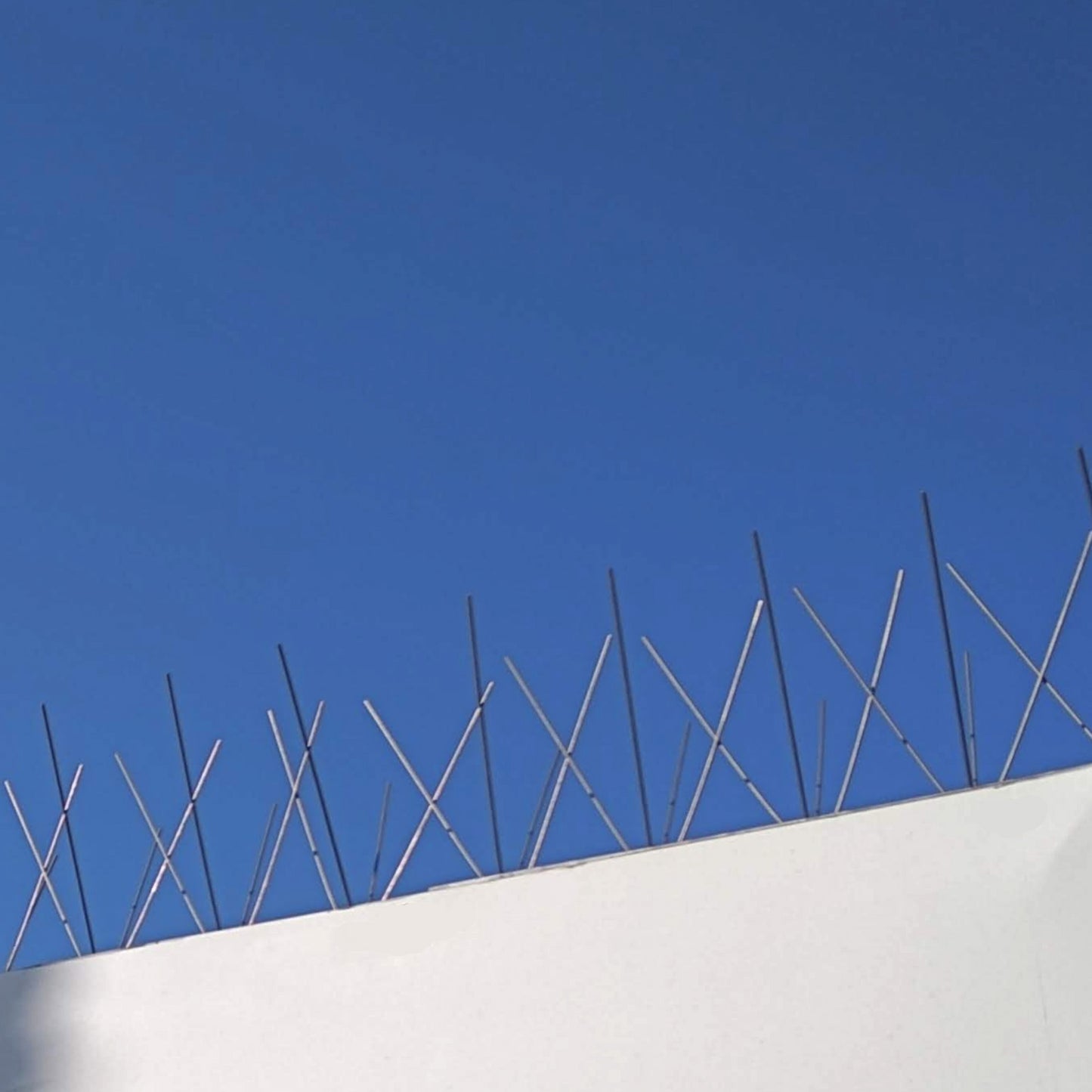 Stainless steel pigeon spikes installed on a white building facade to prevent birds from roosting on ledges.