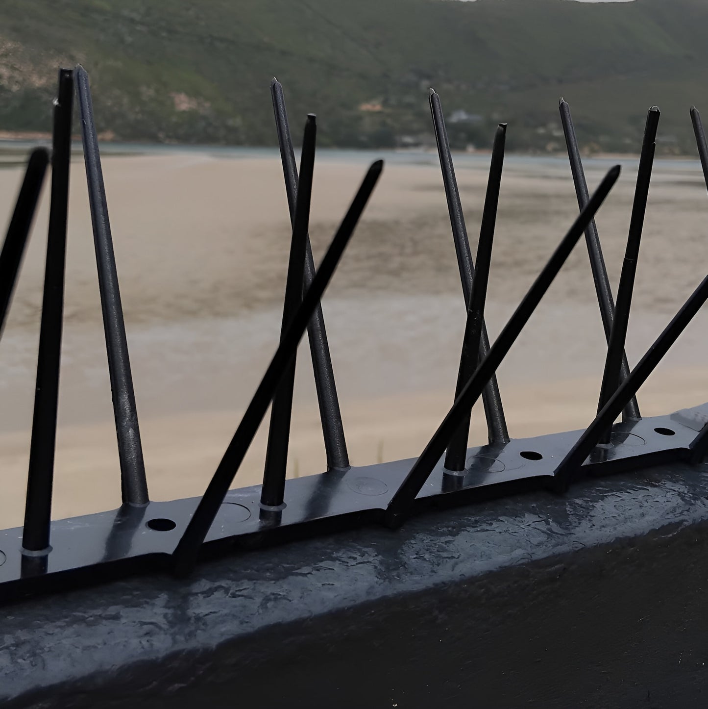 uv-resistant-bird-spikes-coastal-property-ecogreen