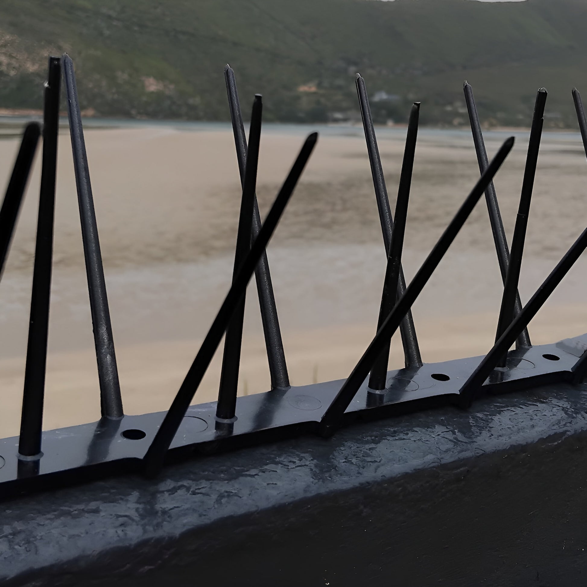 uv-resistant-bird-spikes-coastal-property-ecogreen