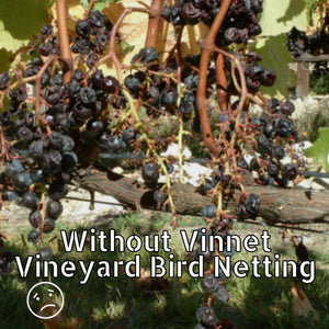 Vinnet Vineyard Bird Netting - 500m - R1699 excl VAT