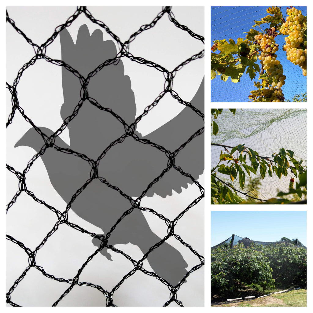 Bird netting collage