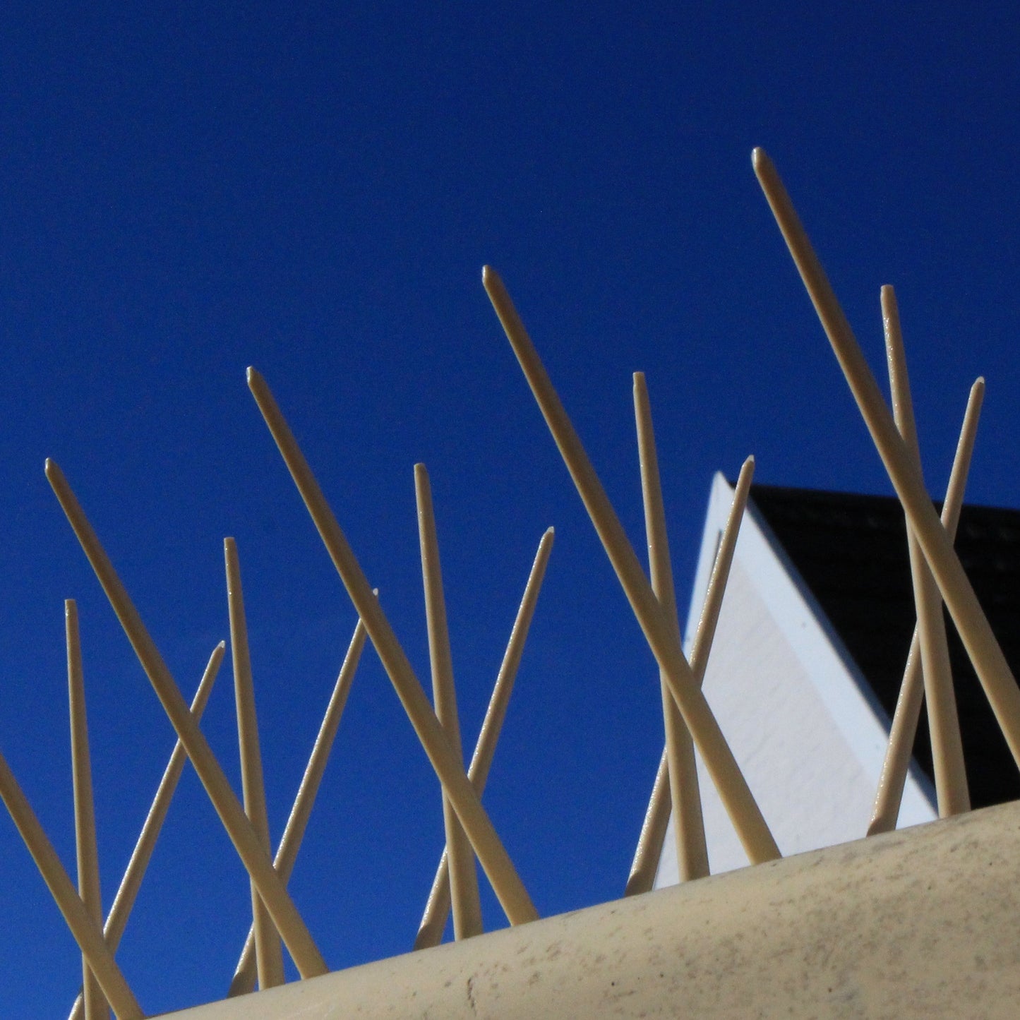 Cream bird spike on wall
