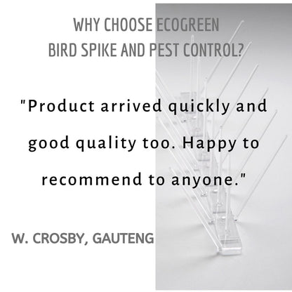 Green Bird Spike - Low Price R58.95/m excl VAT