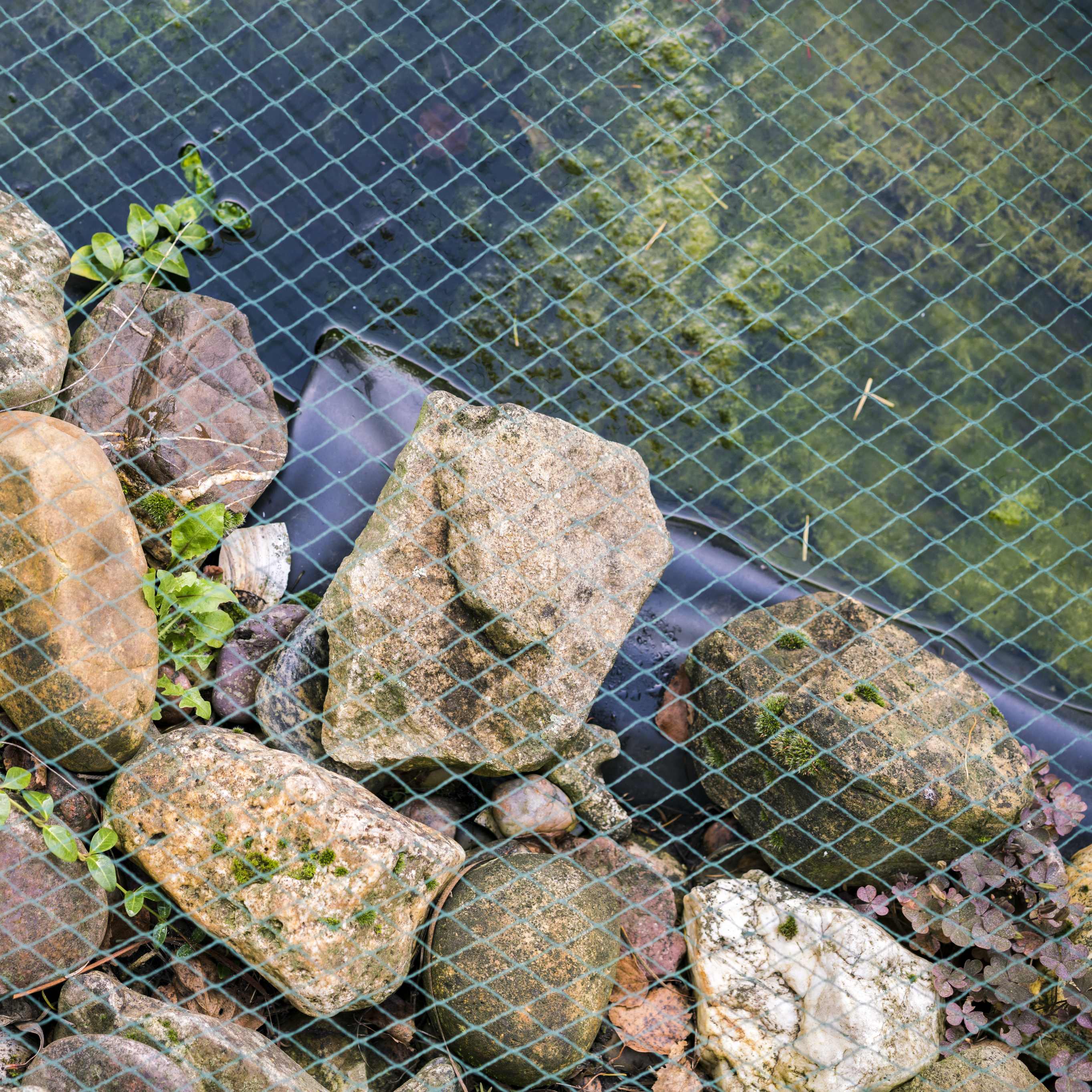 black bird netting over fish pond