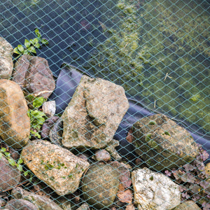 black bird netting over fish pond